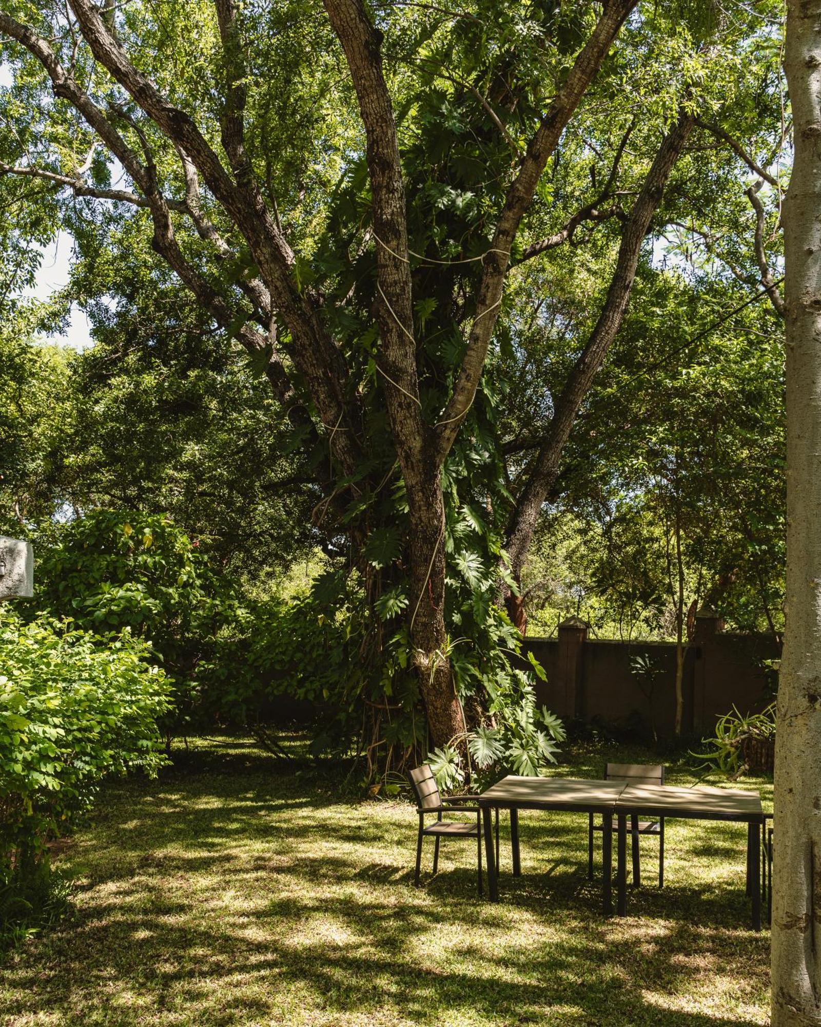 Jacaranda Lodge Victoria Falls Esterno foto